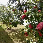 Quinta Valenciana