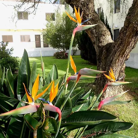 Quinta Valenciana Casa de hóspedes