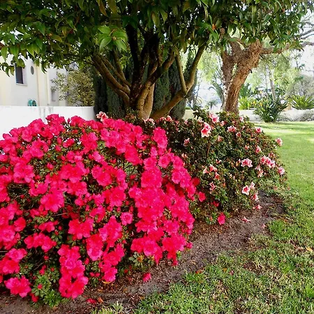 Casa de hóspedes Quinta Valenciana *