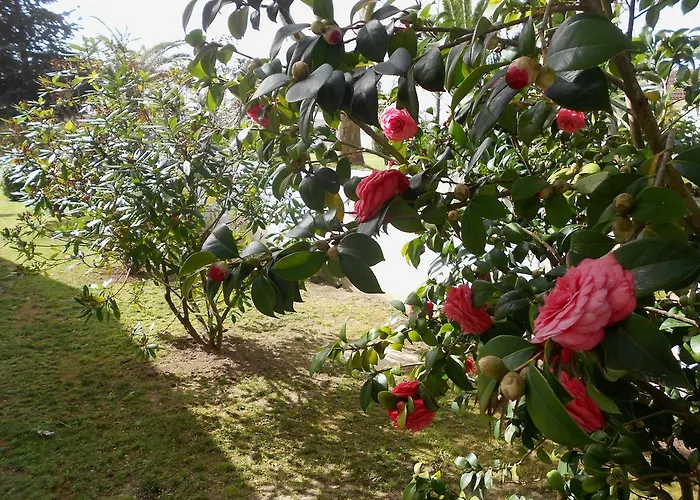 Quinta Valenciana