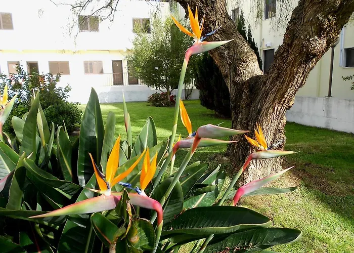 Quinta Valenciana Affittacamere
